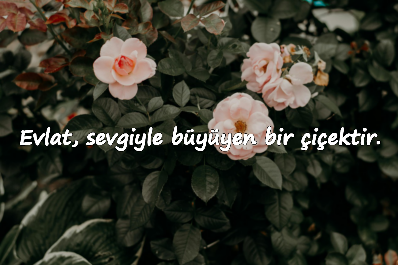 Evlat, sevgiyle büyüyen bir çiçektir.