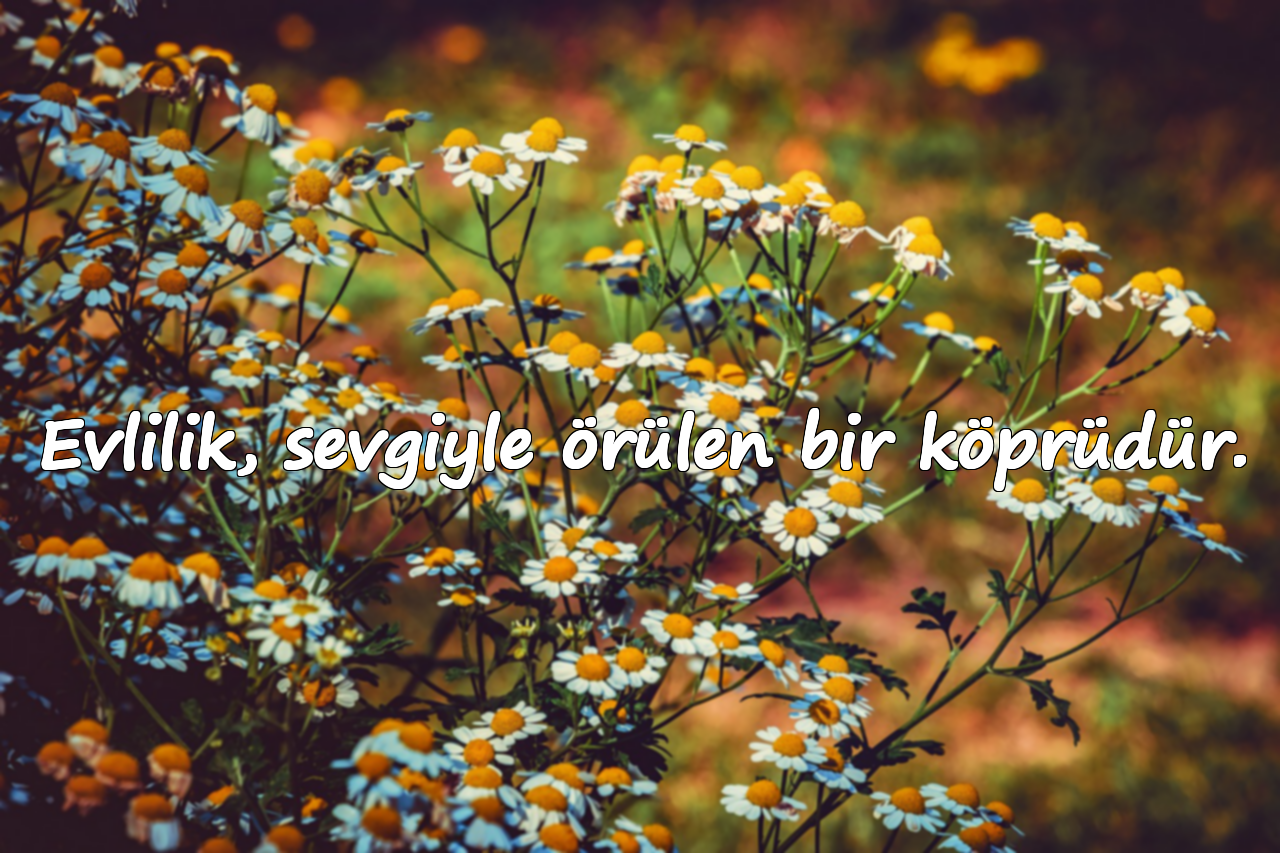 Evlilik, sevgiyle örülen bir köprüdür.