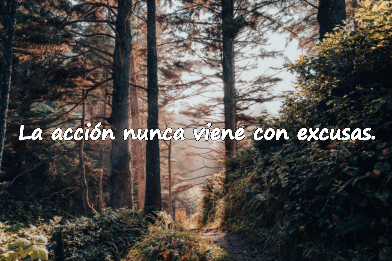 Excusas y Acción