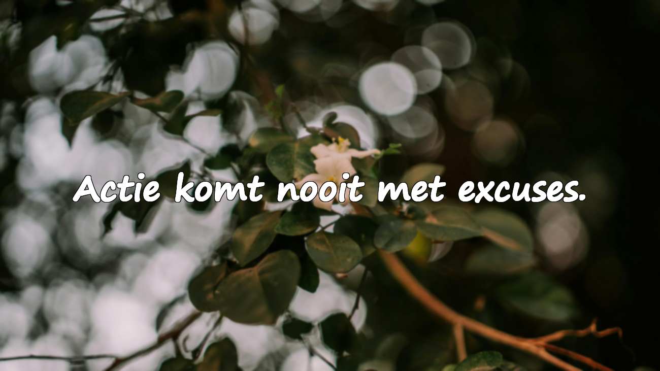 Excuses en Actie