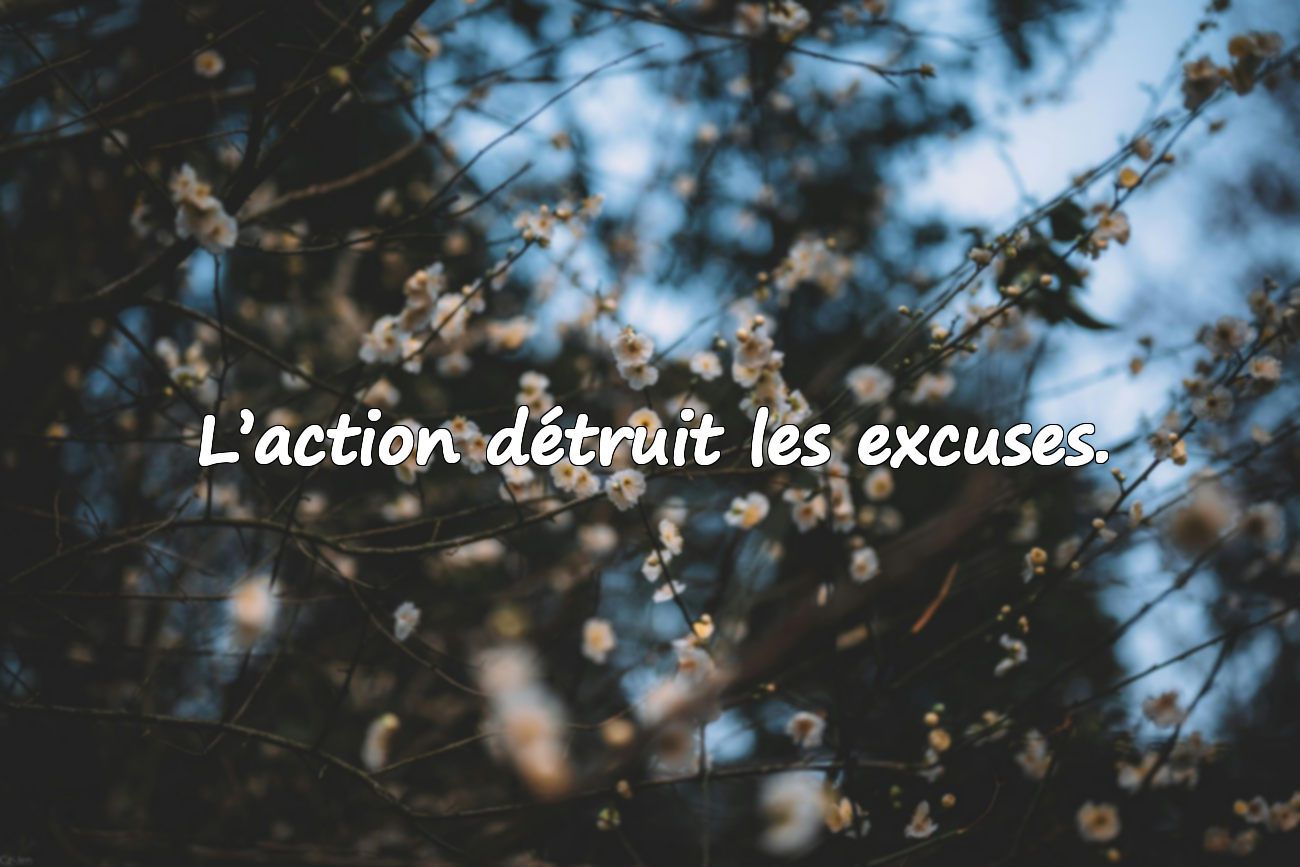 Excuses et Action