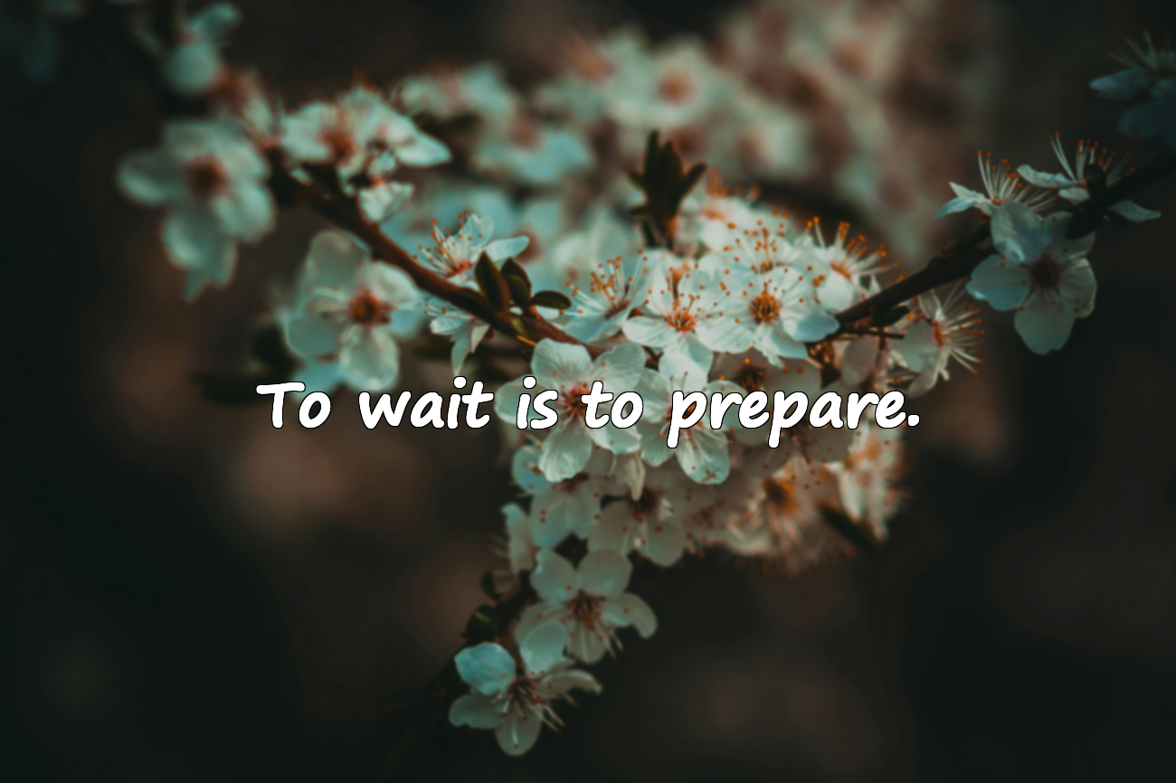 Expectation and Waiting Quotes