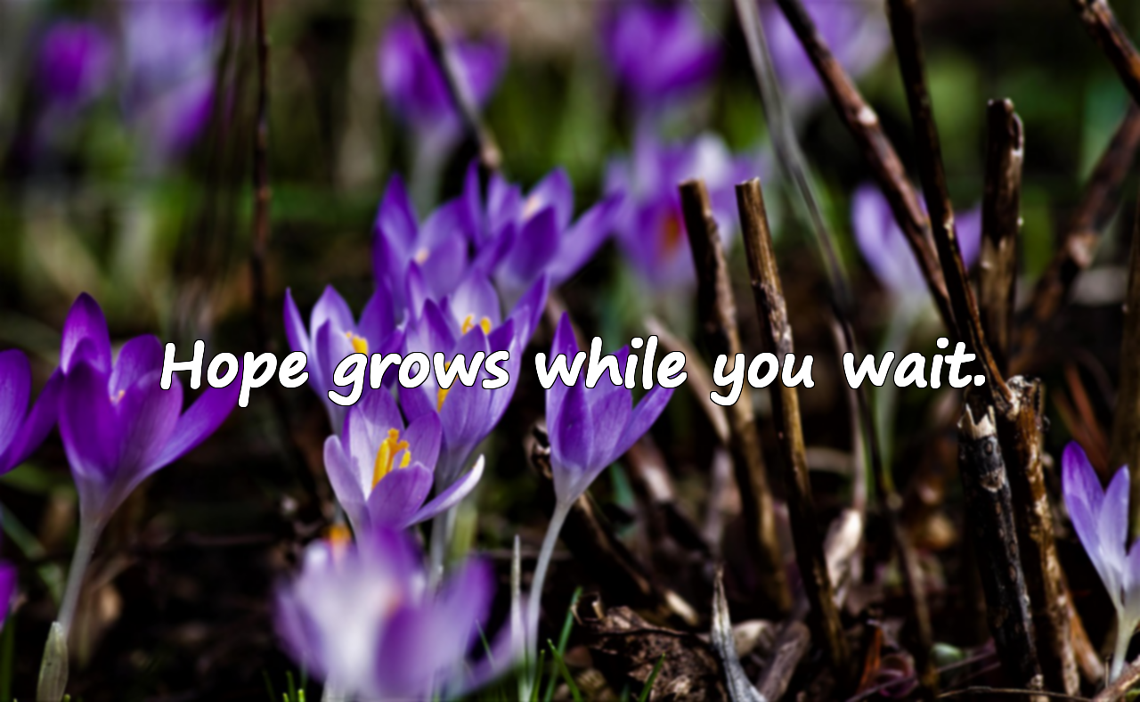Expectation and Waiting Quotes