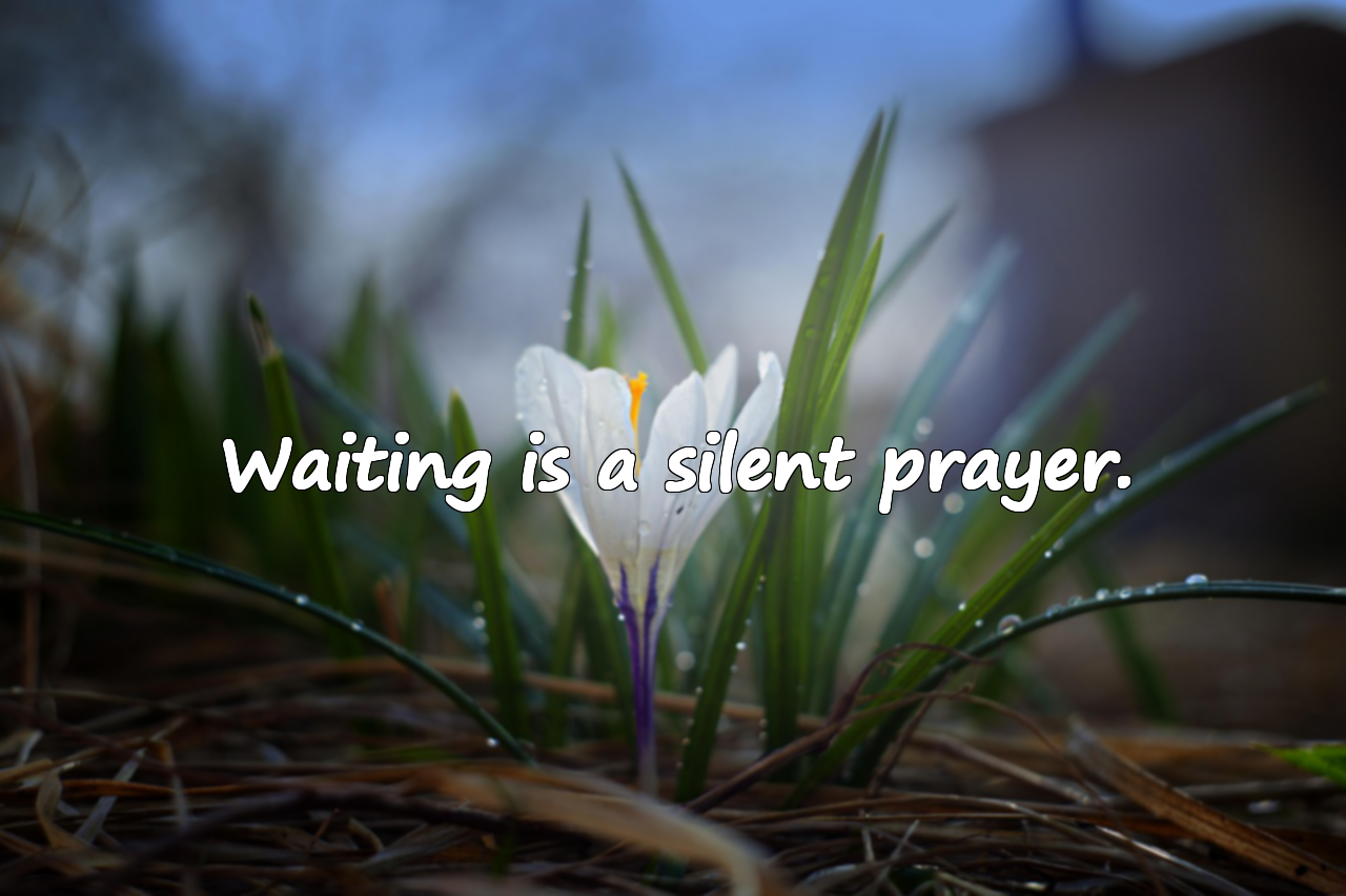 Expectation and Waiting Quotes