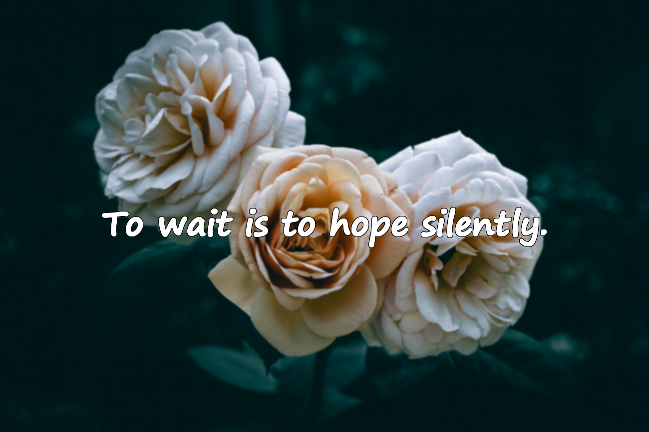 Expectation and Waiting Quotes