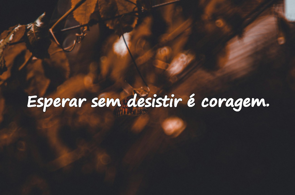 Expectativa e Espera – Frases