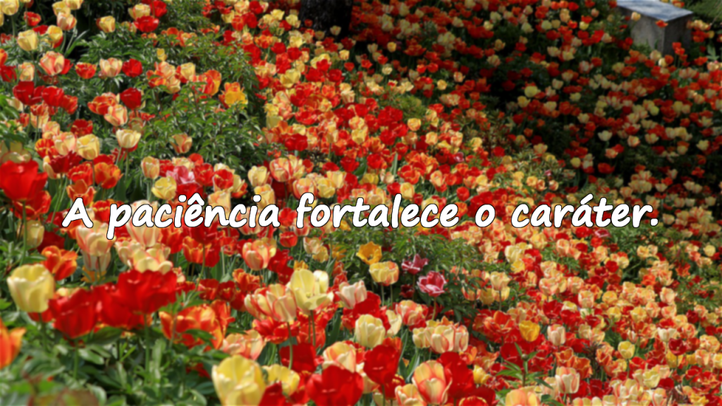 Expectativa e Espera – Frases