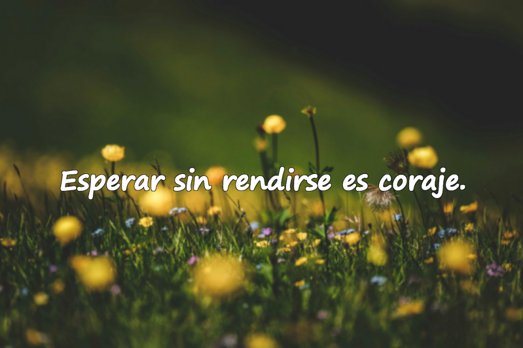 Expectativa y Espera – Frases