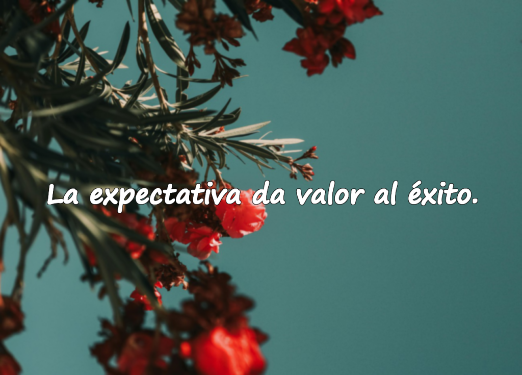 Expectativa y Espera – Frases