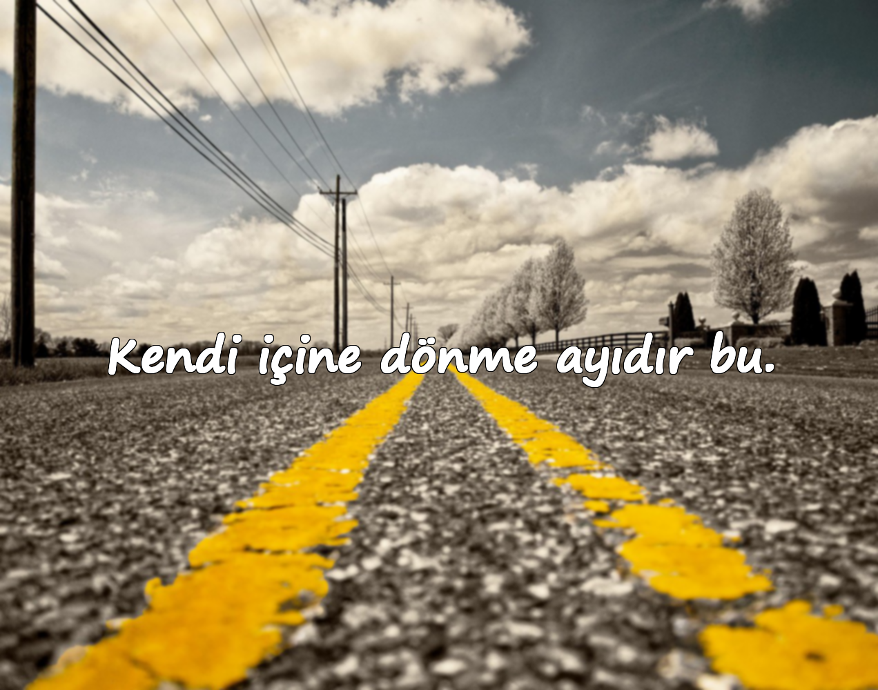 Kendi içine dönme ayıdır bu.