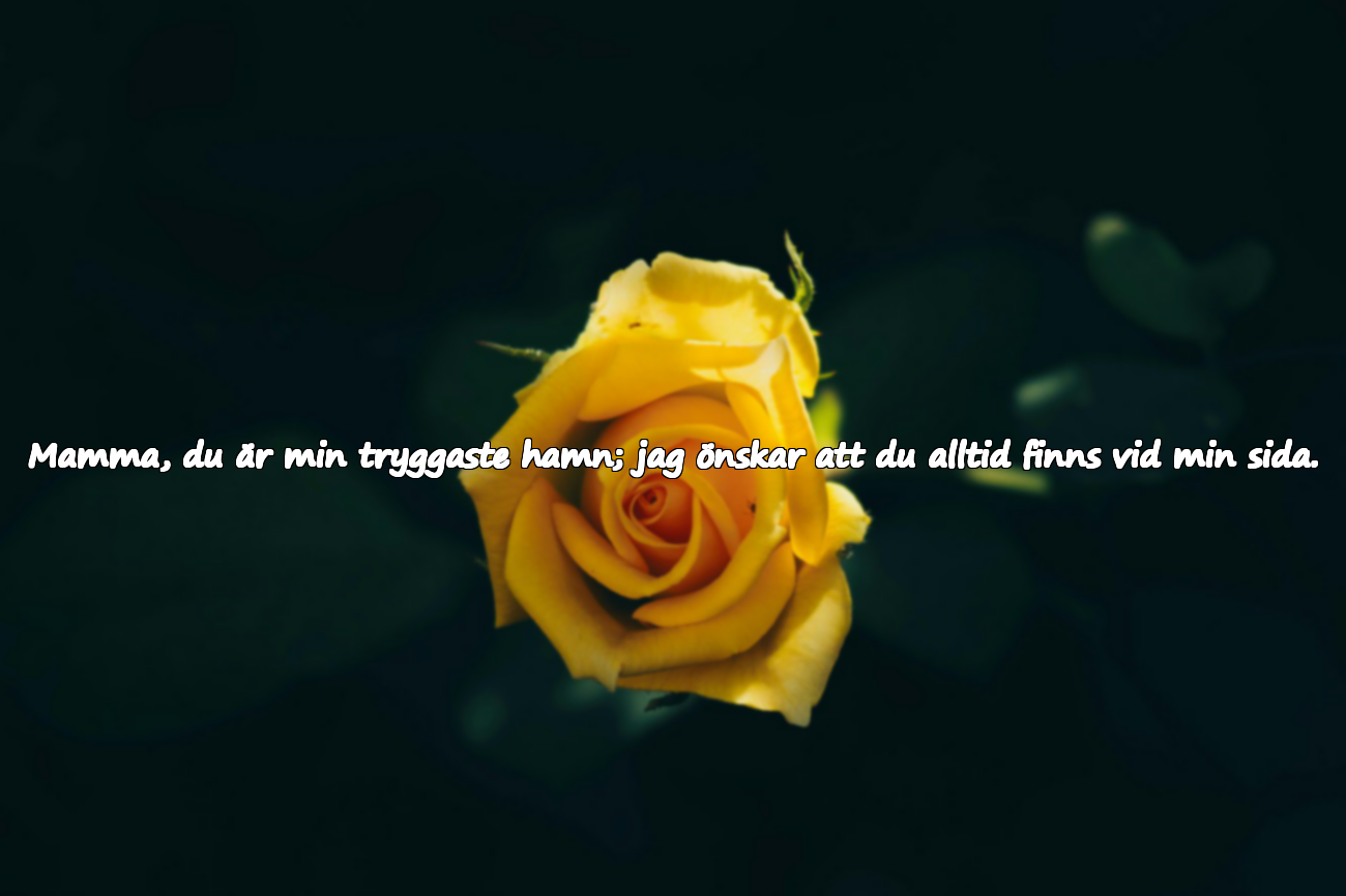 Födelsedagshälsningar till mamma