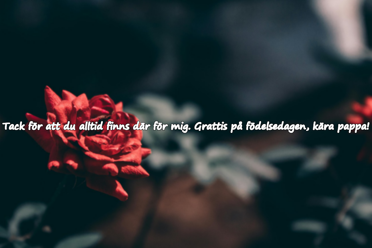 Födelsedagshälsningar till pappa