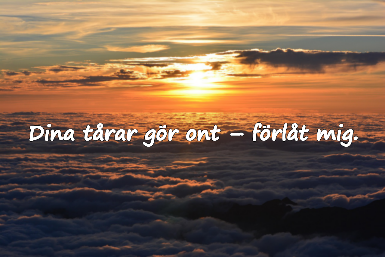 Förlåtelseord till min älskling