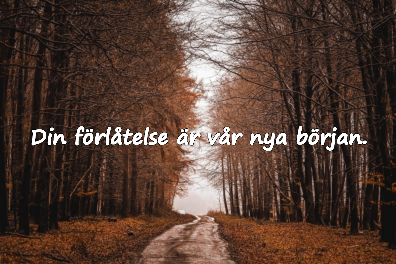 Förlåtelseord till min älskling