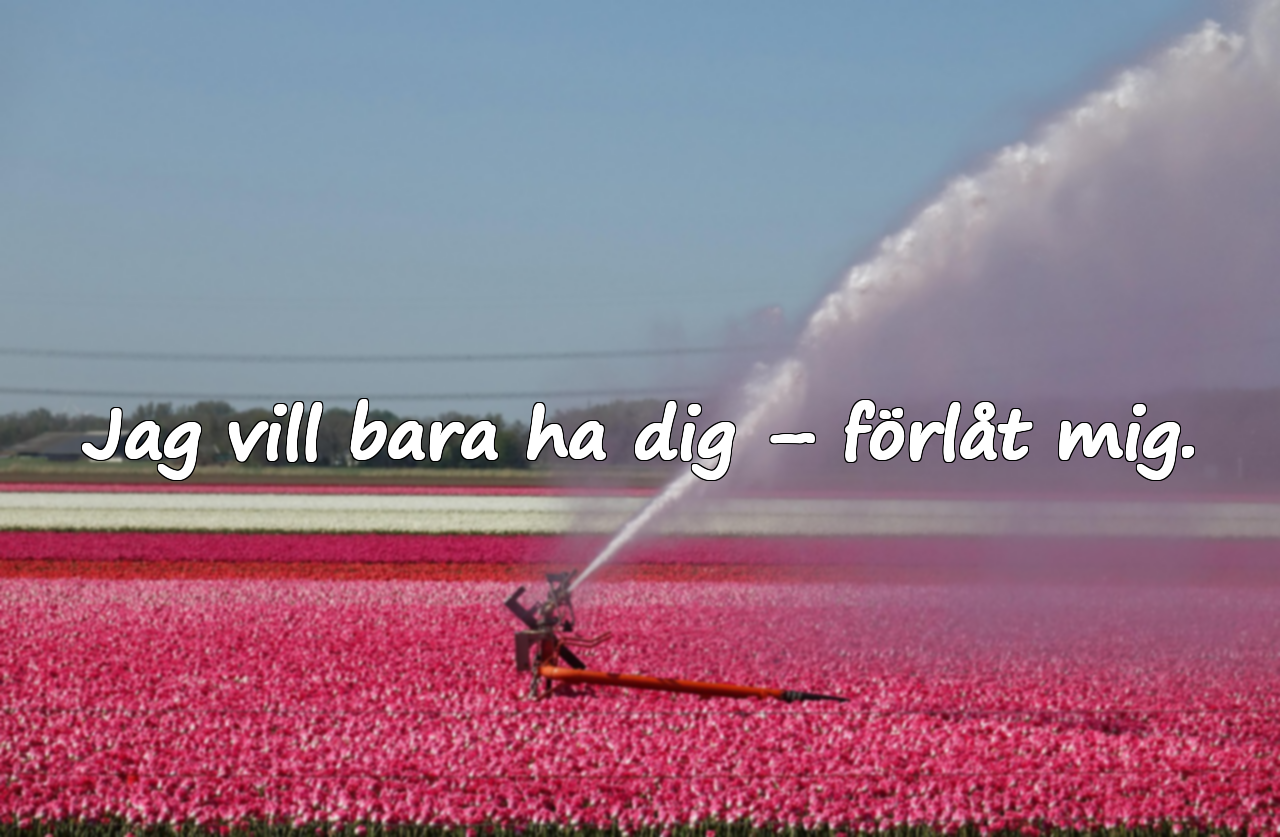 Förlåtelseord till min älskling