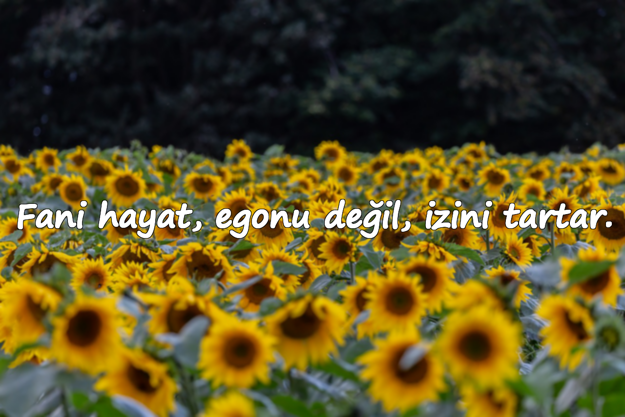 Fani hayat, egonu değil, izini tartar.