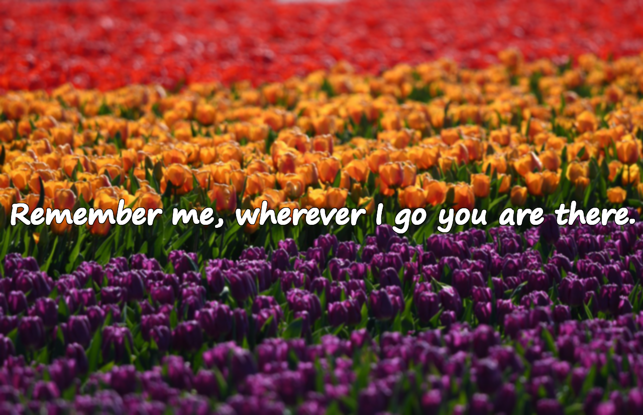 Farewell Quotes
