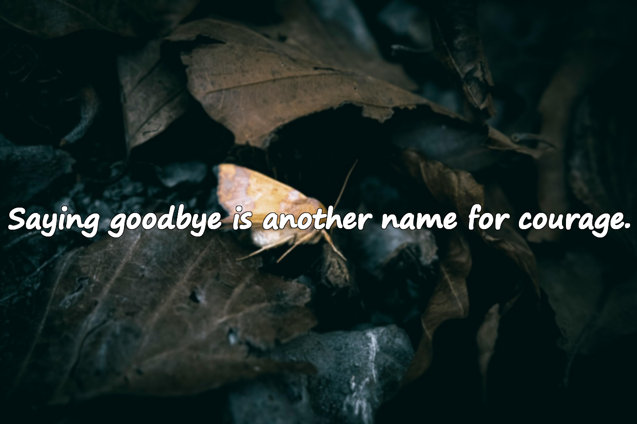Farewell Quotes