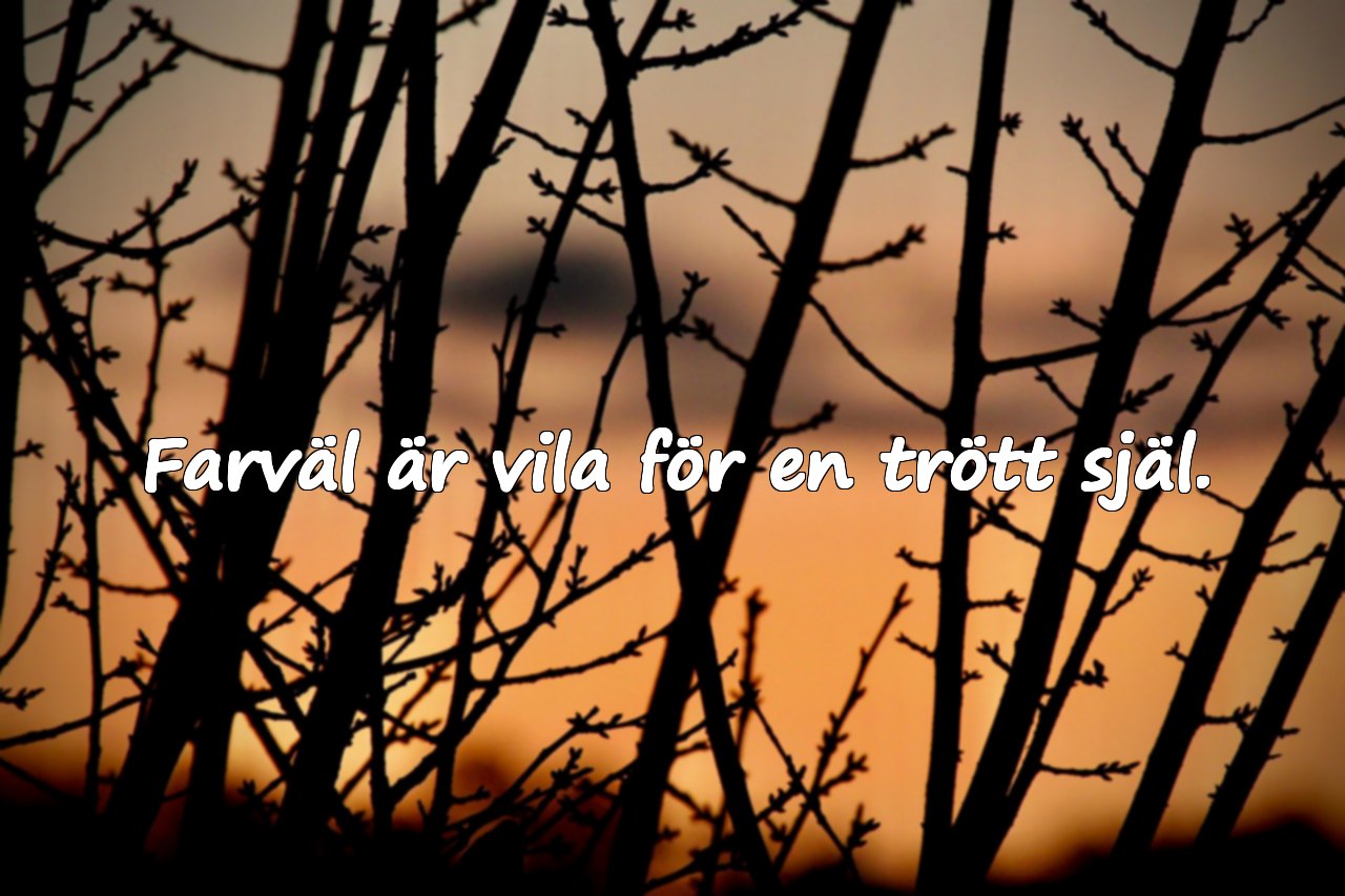 Farväl Citat