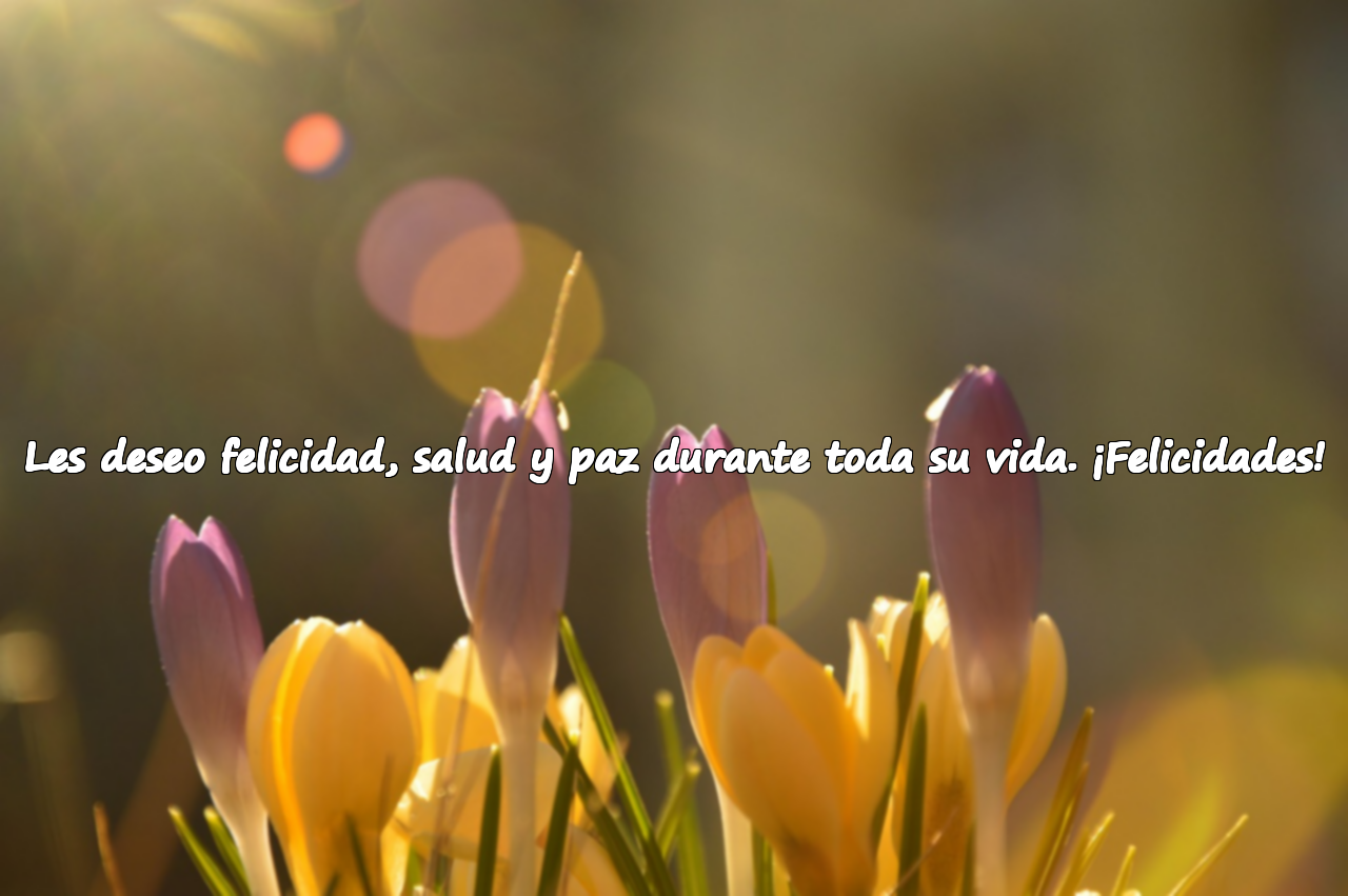 Felicitaciones de boda