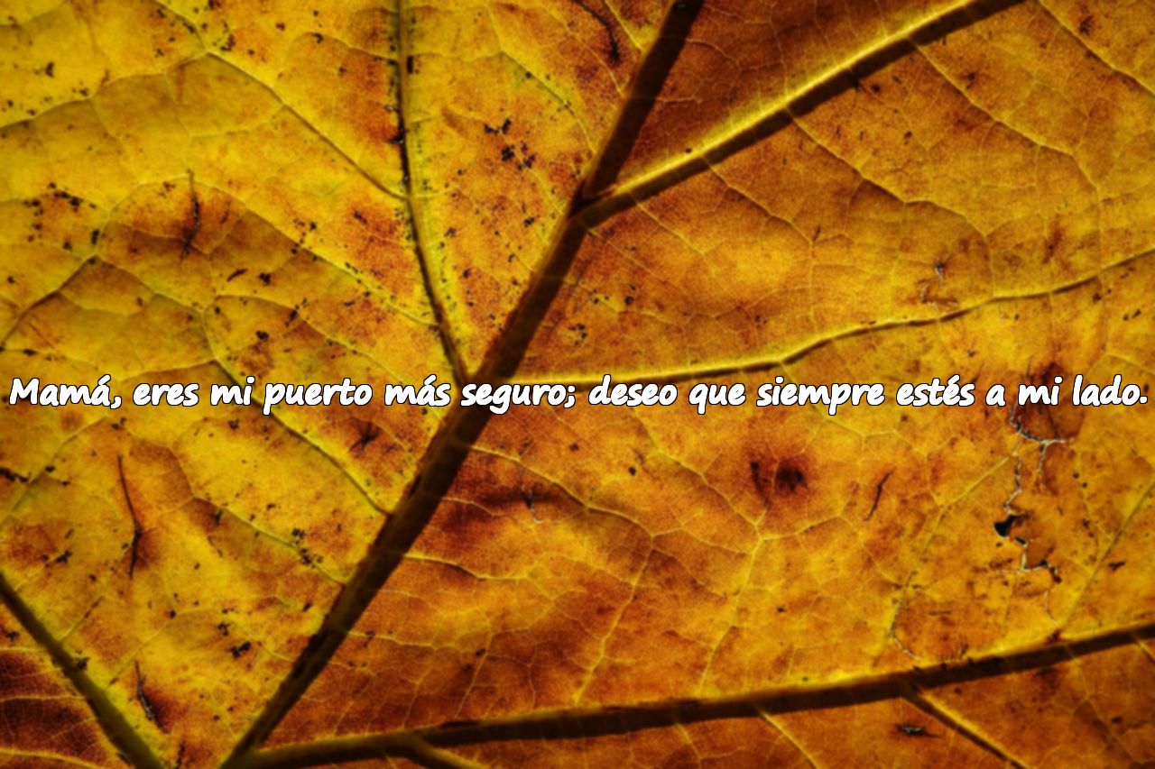 Mamá, eres mi puerto más seguro; deseo que siempre estés a mi lado.
