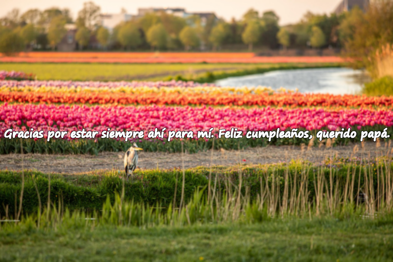 Gracias por estar siempre ahí para mí. Feliz cumpleaños, querido papá.