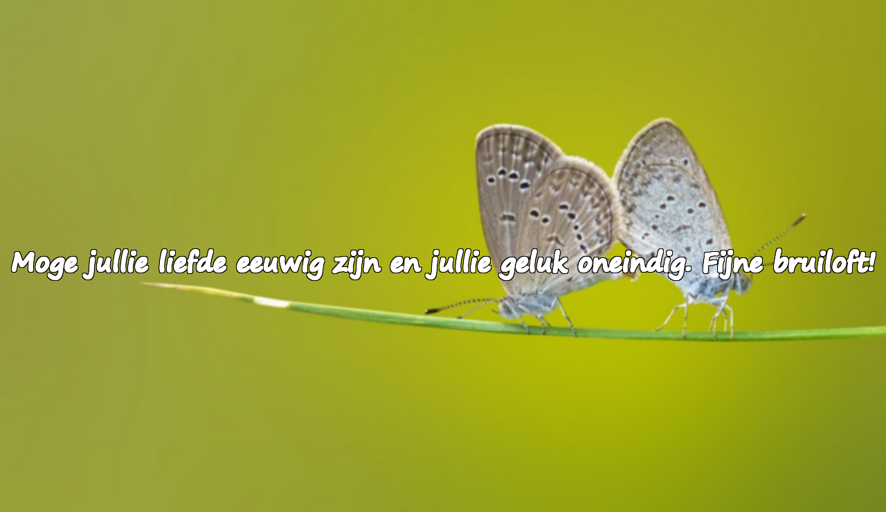 Felicitaties voor het huwelijk