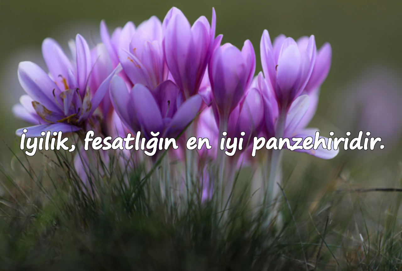 İyilik, fesatlığın en iyi panzehiridir.