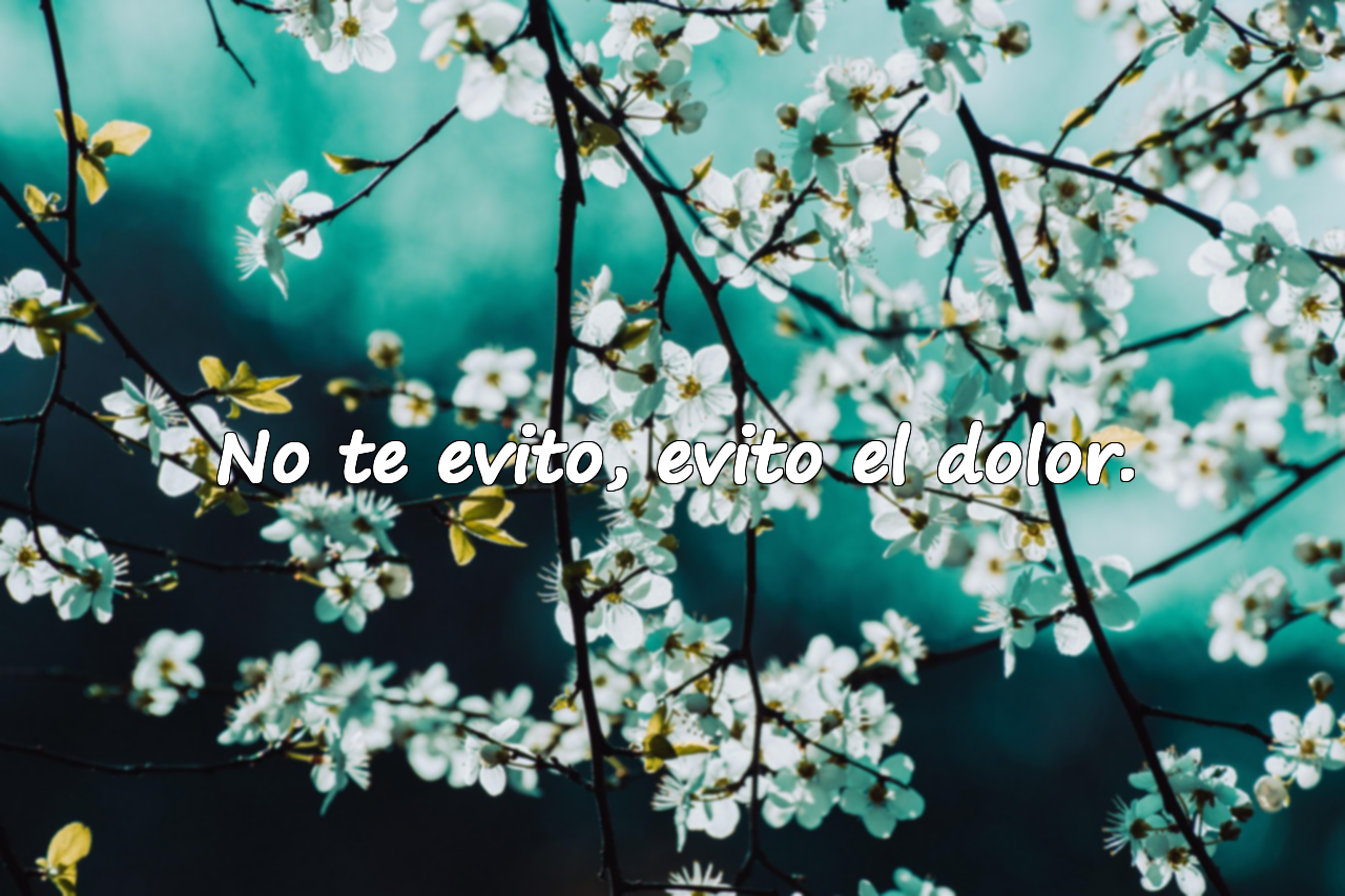 Frases Asociales
