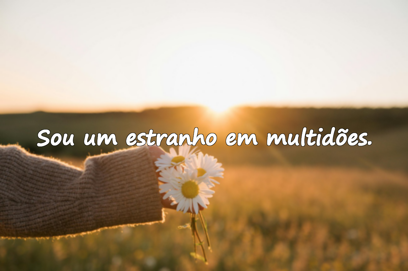 Frases Associais