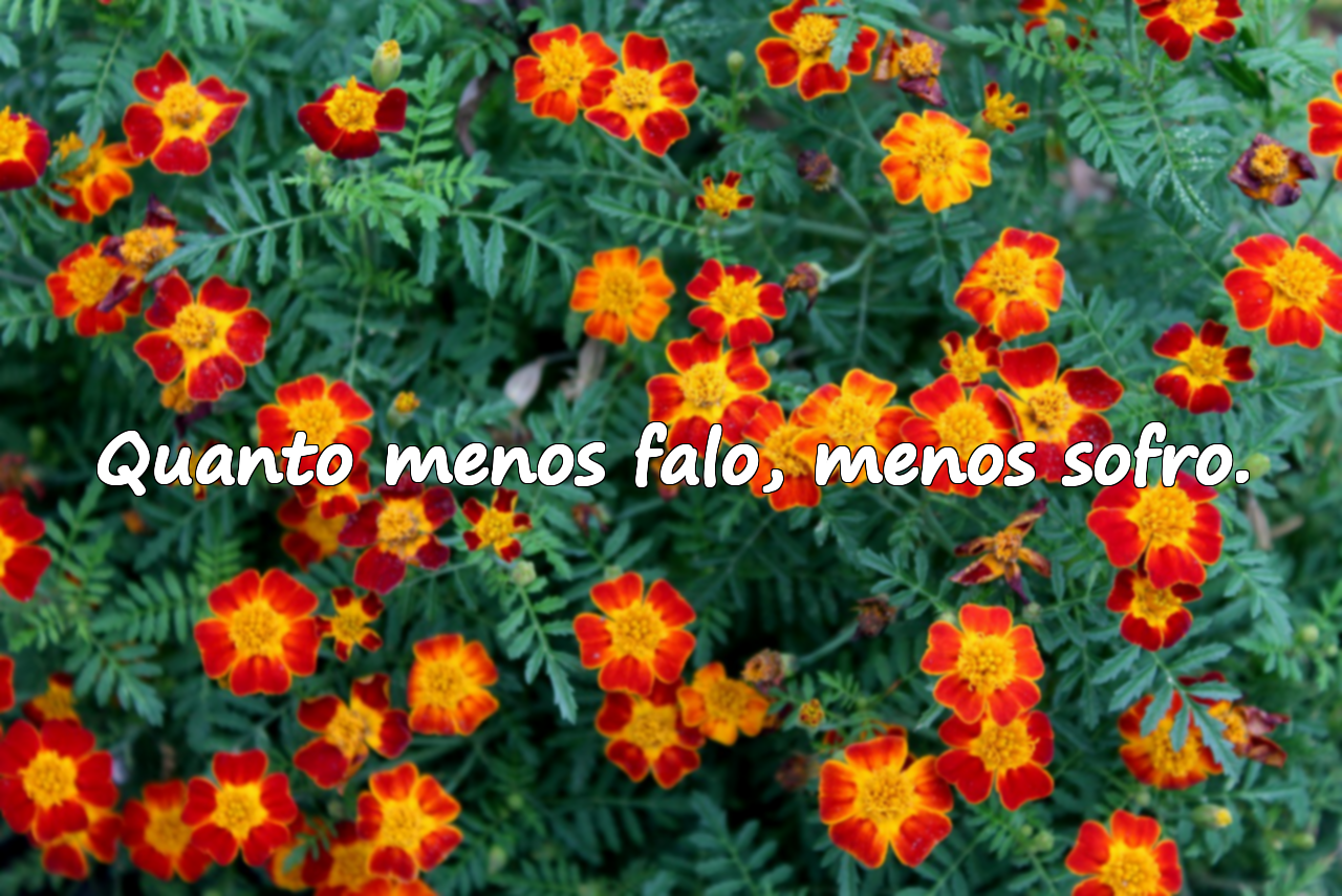 Frases Associais
