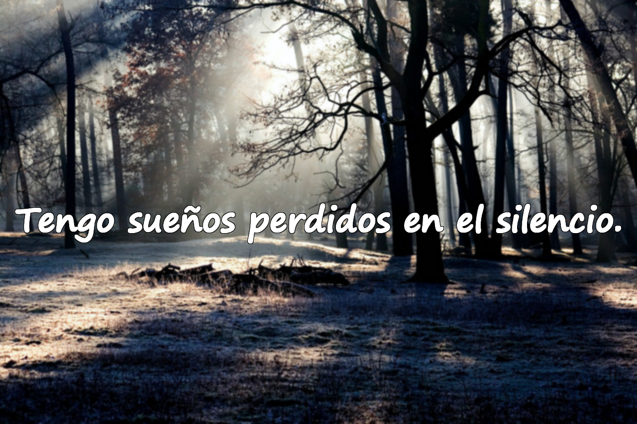 Tengo sueños perdidos en el silencio.