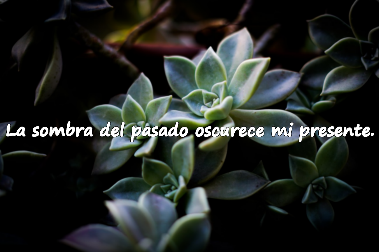 La sombra del pasado oscurece mi presente.