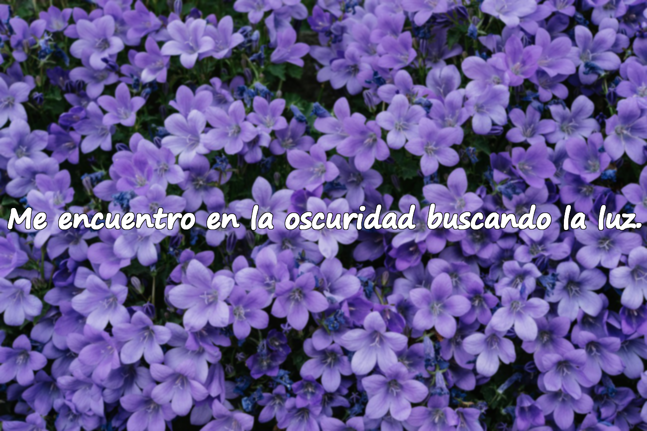 Me encuentro en la oscuridad buscando la luz.