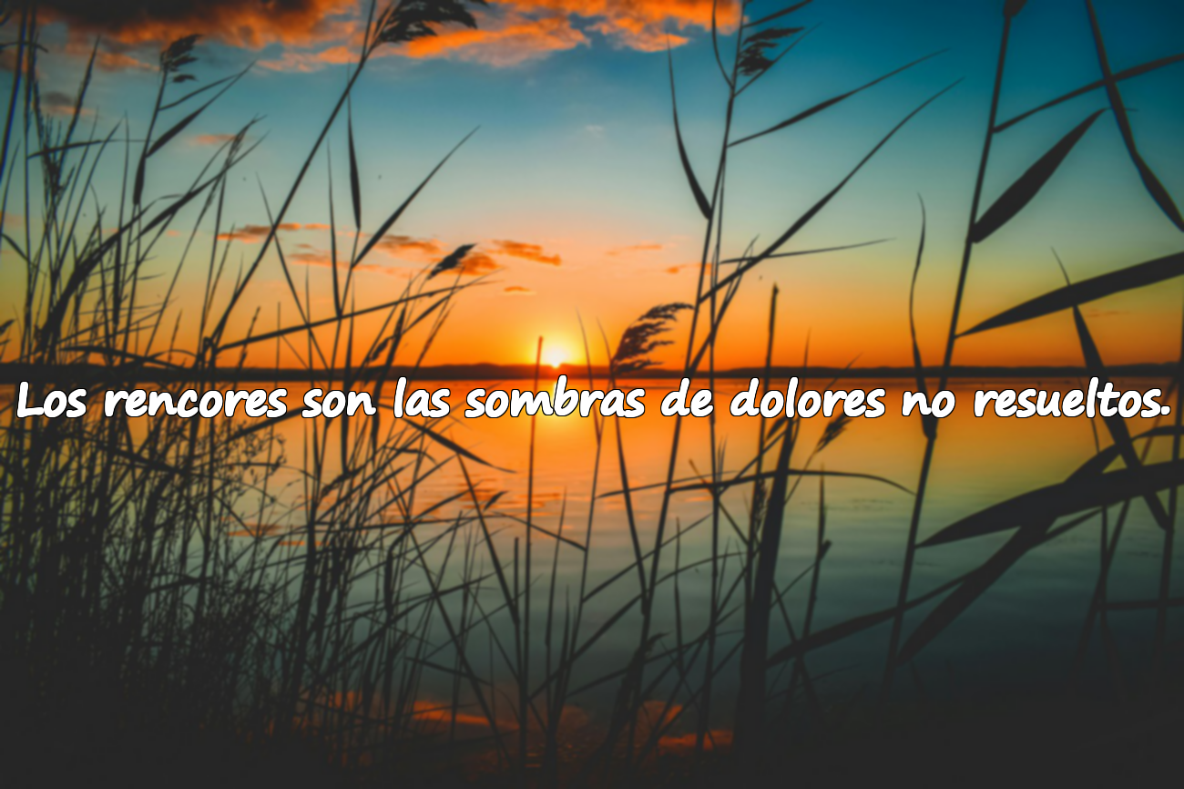 Los rencores son las sombras de dolores no resueltos.