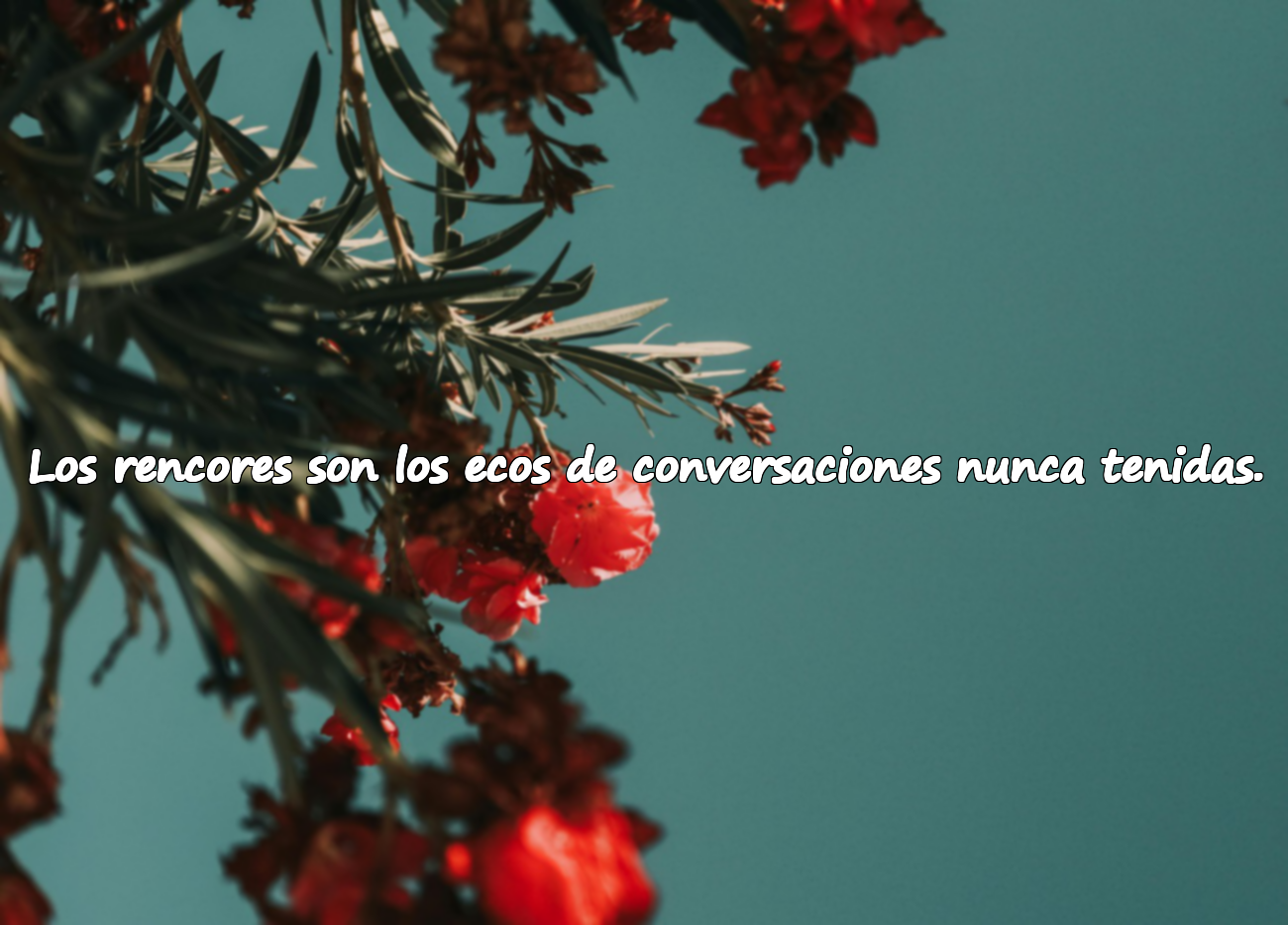 Los rencores son los ecos de conversaciones nunca tenidas.