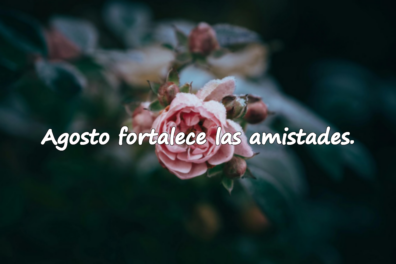Agosto fortalece las amistades.