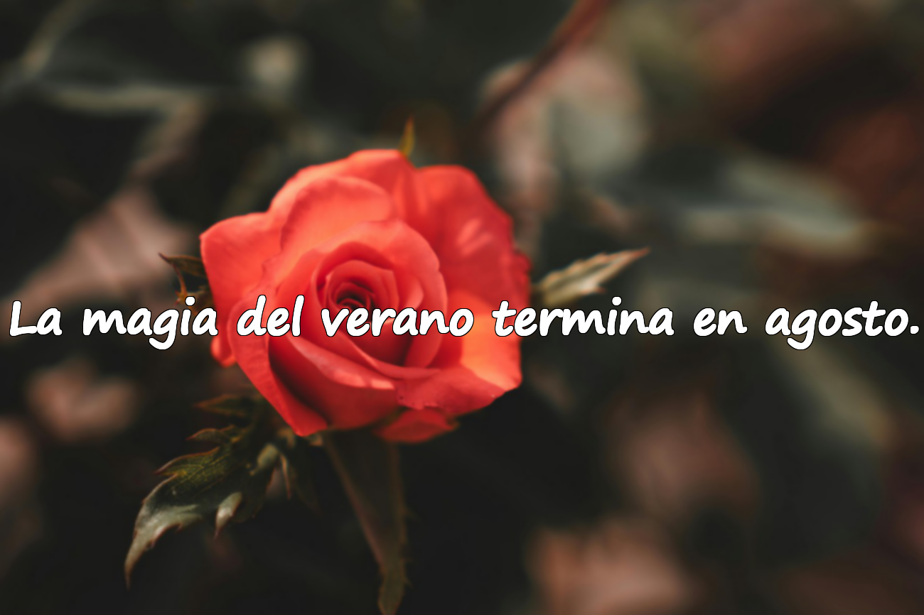 La magia del verano termina en agosto.