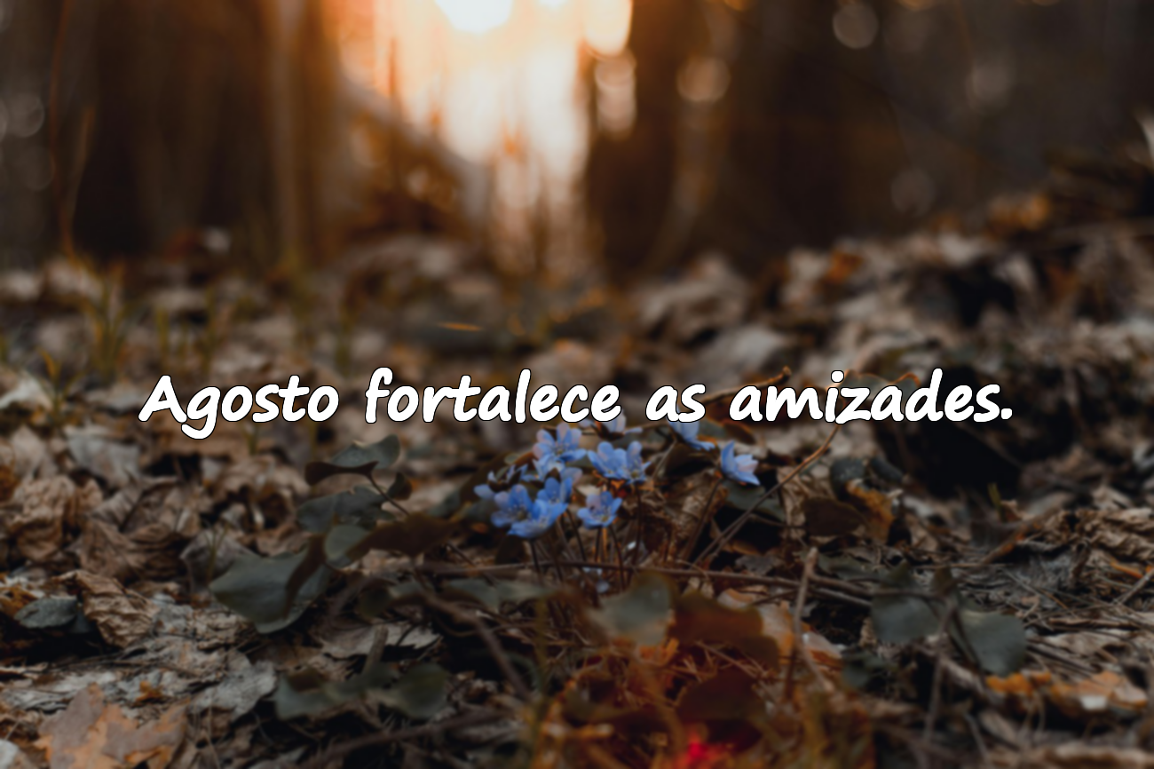 Frases Significativas Sobre Agosto