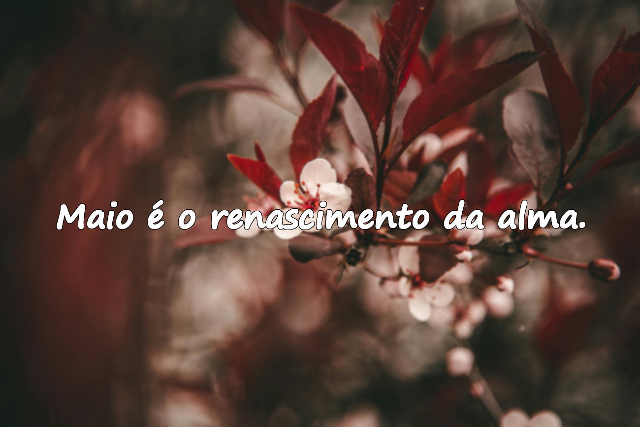 Maio é o renascimento da alma.