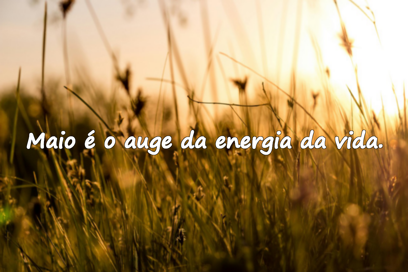Frases Significativas Sobre Maio