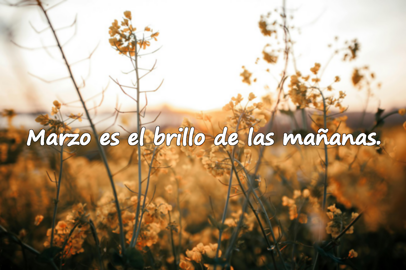 Marzo es el brillo de las mañanas.
