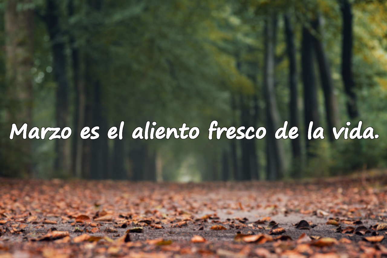 Frases Significativas Sobre Marzo