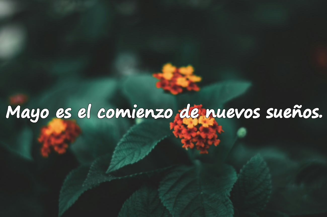 Mayo es el comienzo de nuevos sueños.