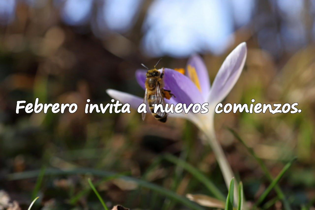 Febrero invita a nuevos comienzos.