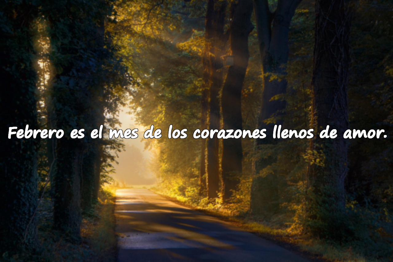 Febrero es el mes de los corazones llenos de amor.