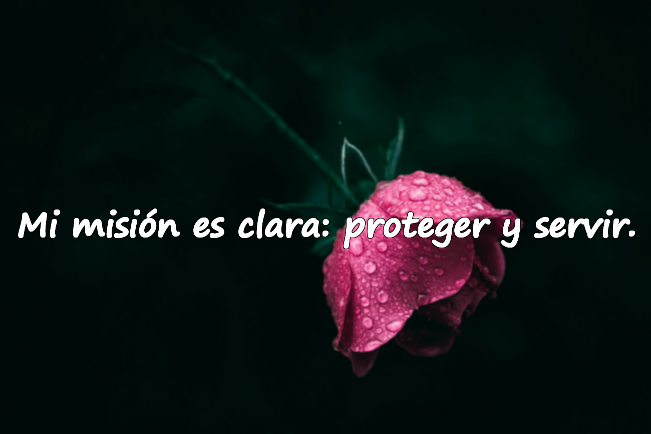 Frases Significativas Sobre el Servicio Militar