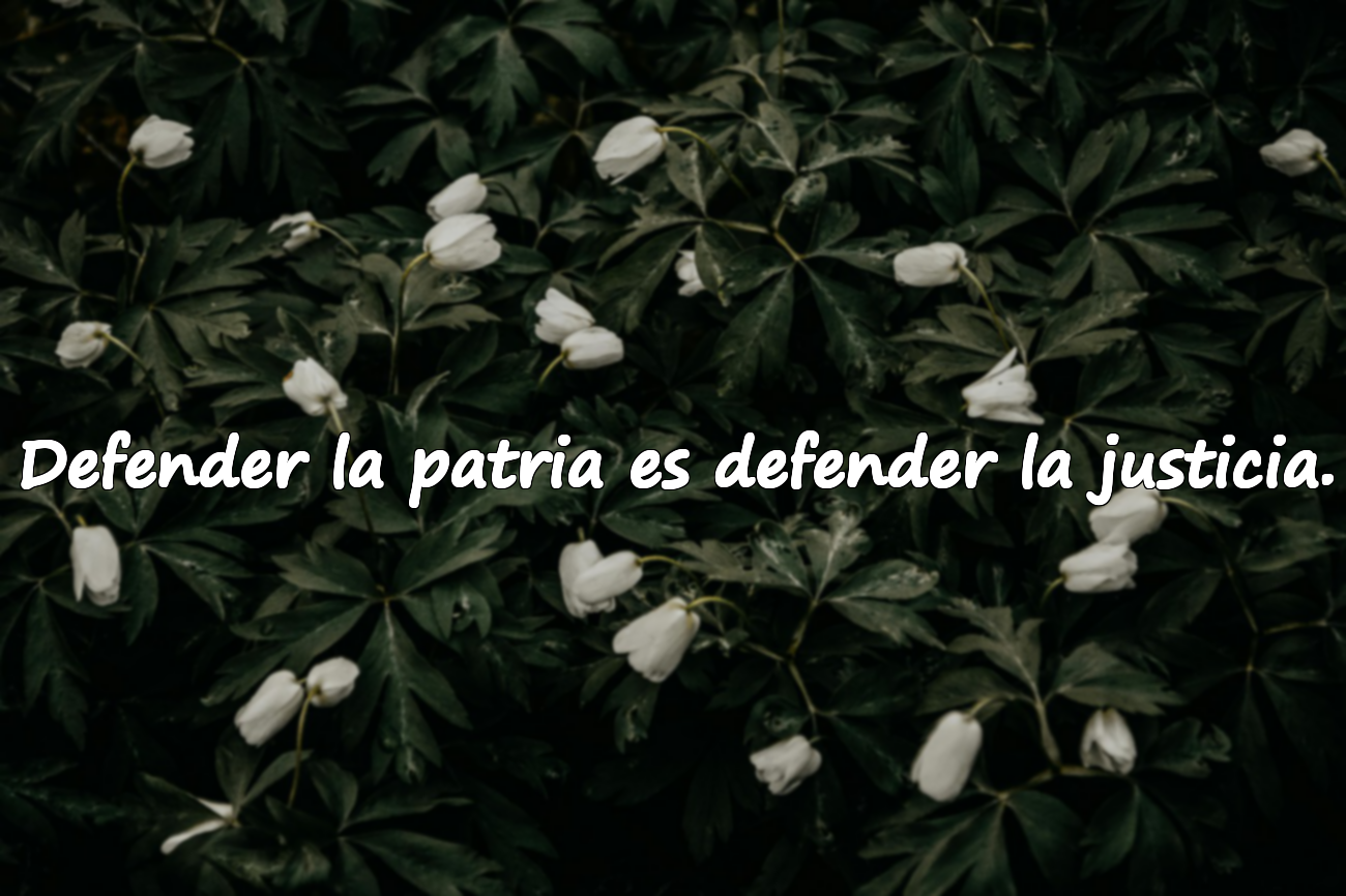 Frases Significativas Sobre el Servicio Militar