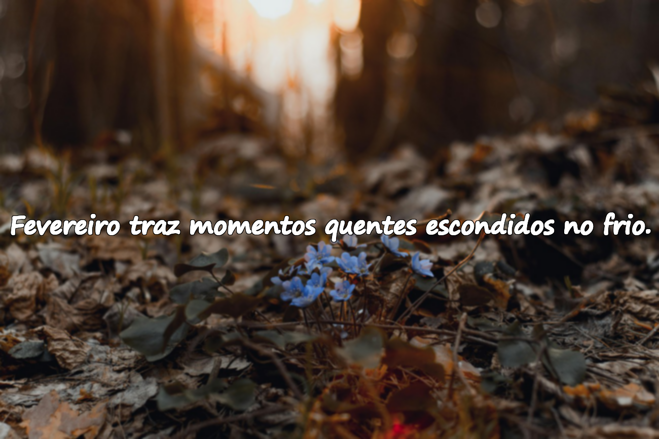 Frases Significativas Sobre o Mês de Fevereiro