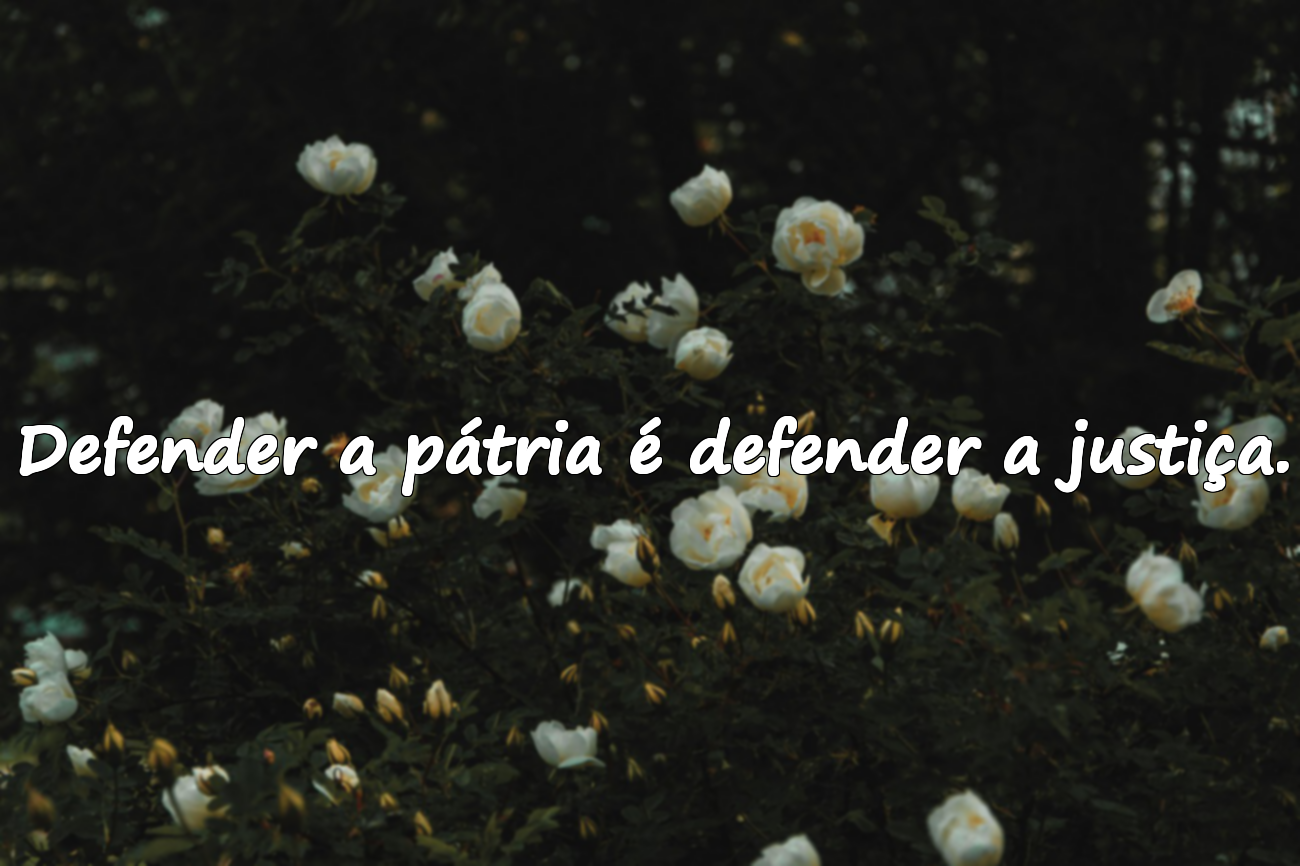 Frases Significativas Sobre o Serviço Militar